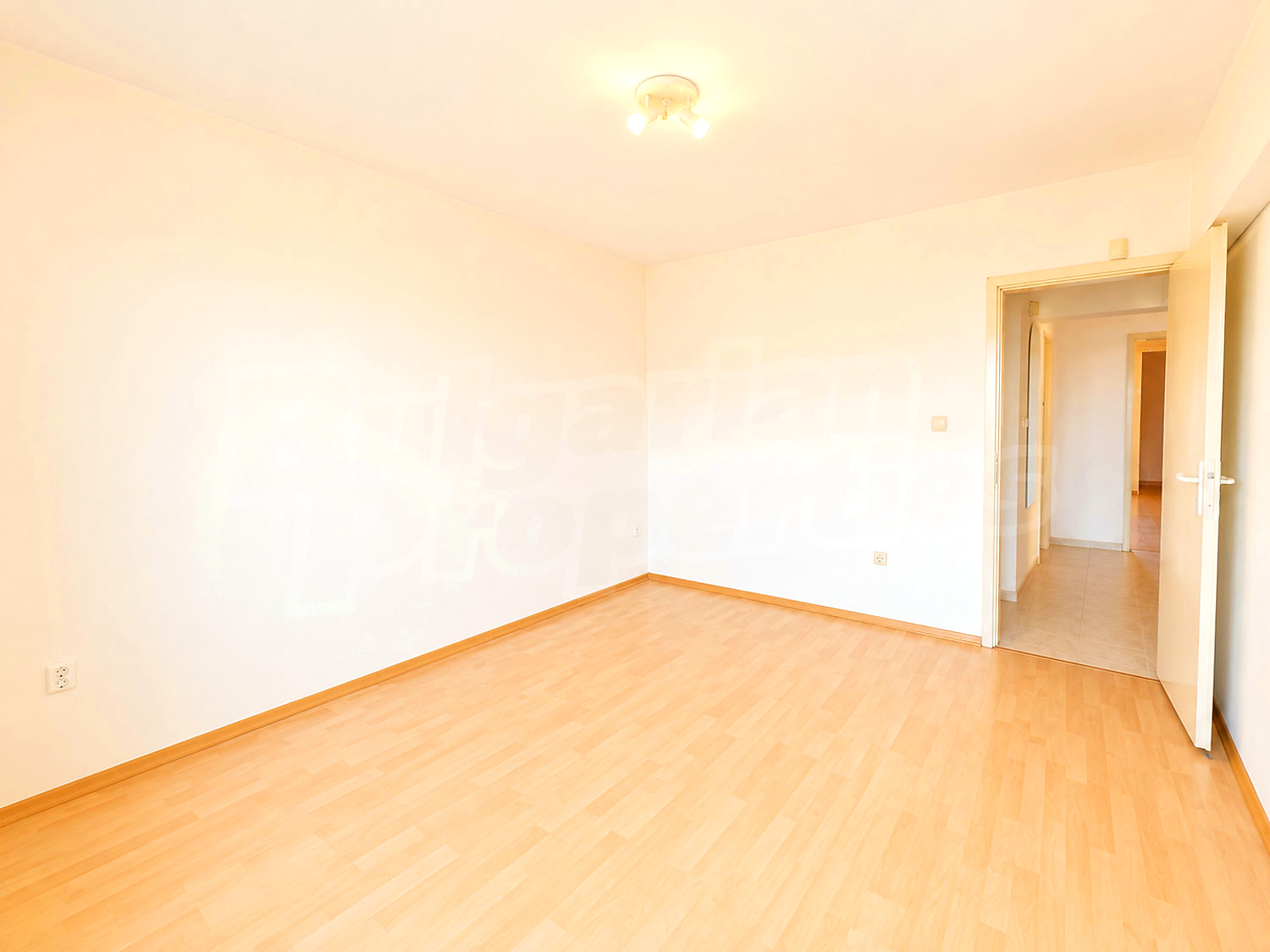 Gallery Picture 10