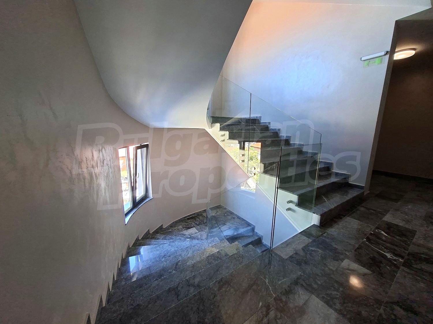 Gallery Picture 19