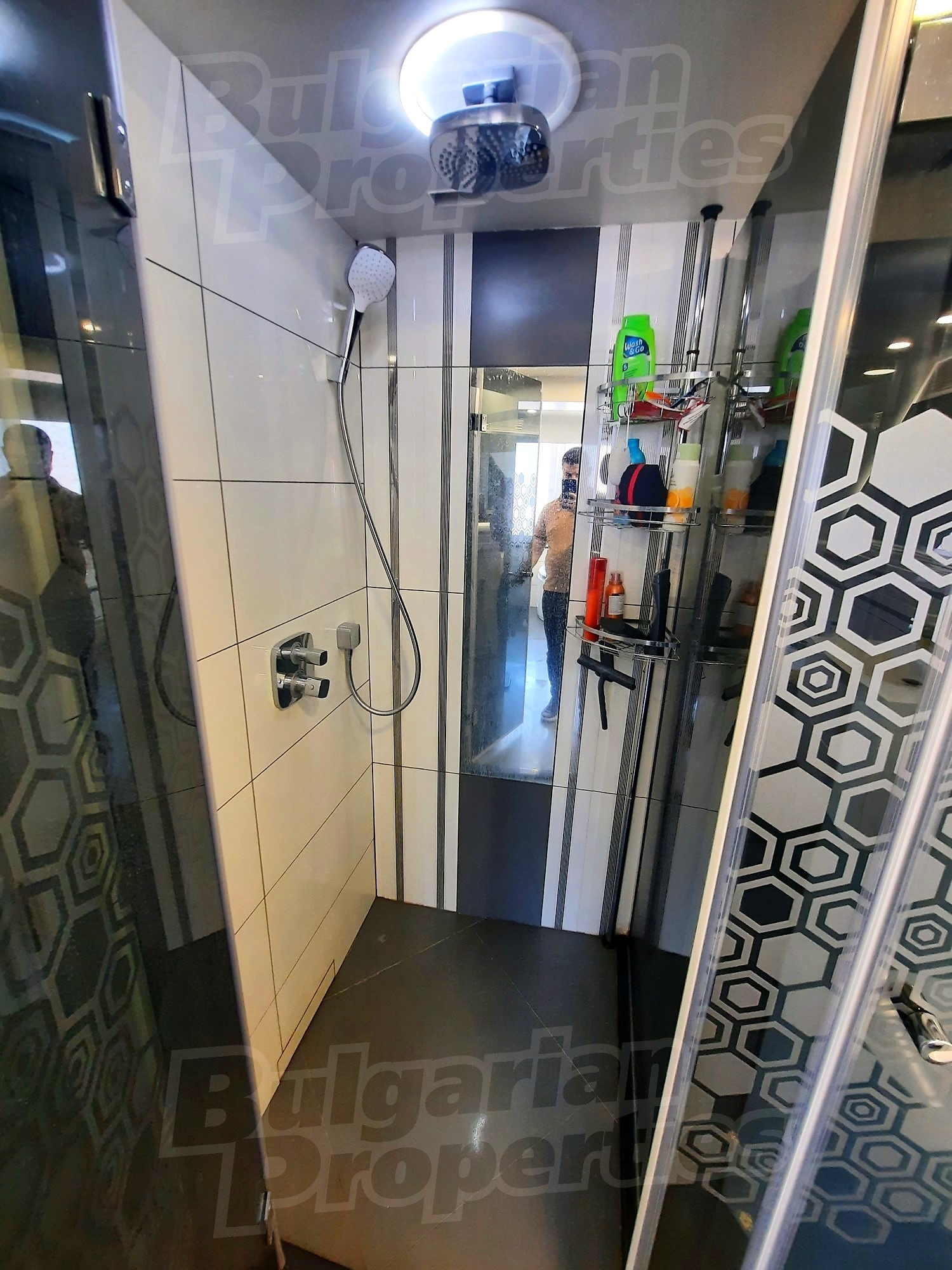 Gallery Picture 16