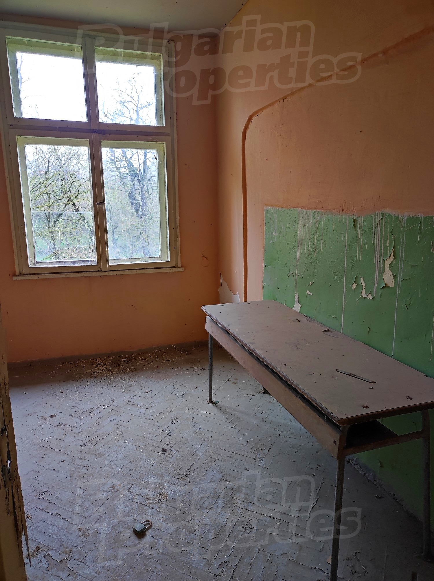 Gallery Picture 19