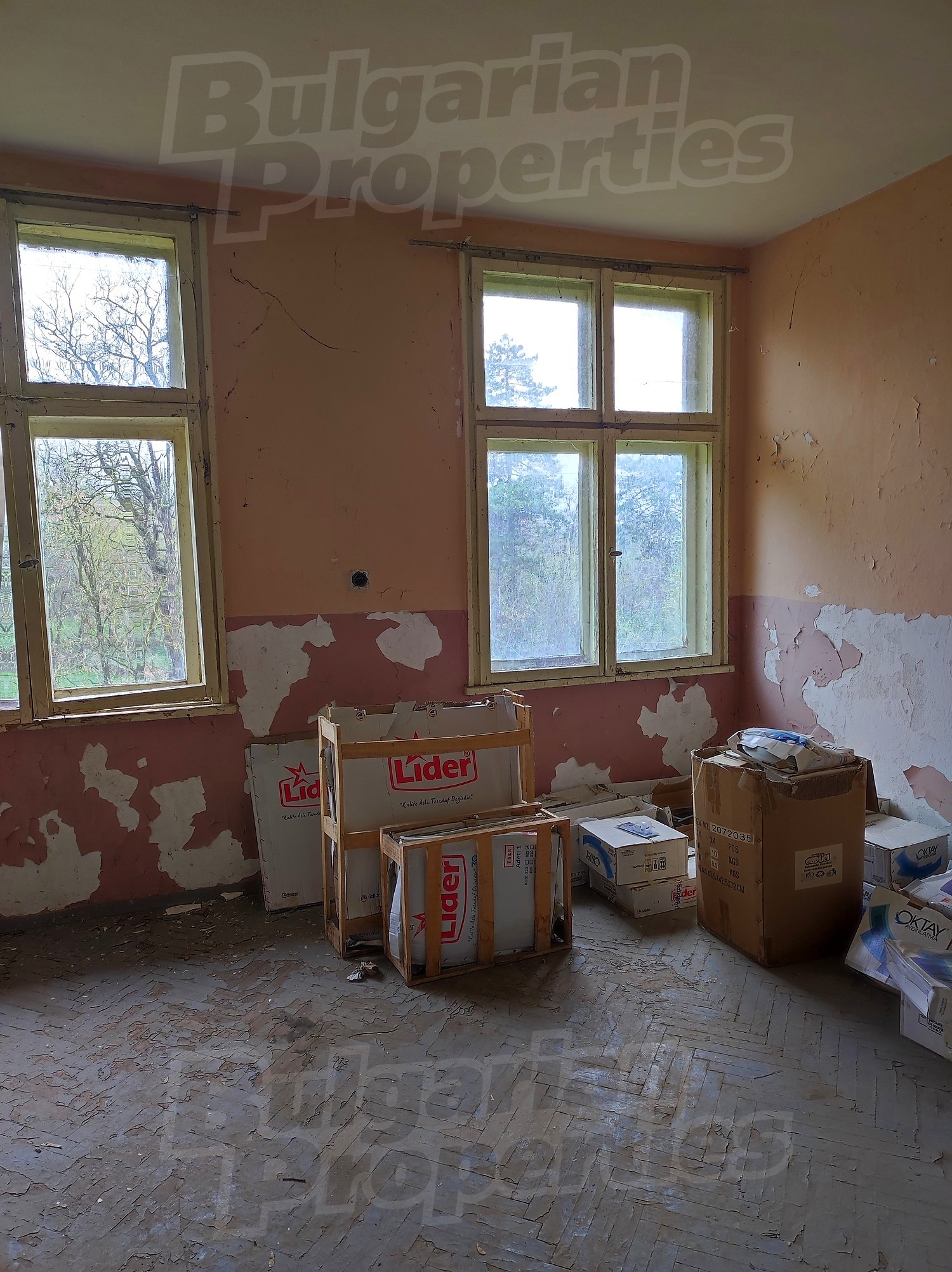 Gallery Picture 22