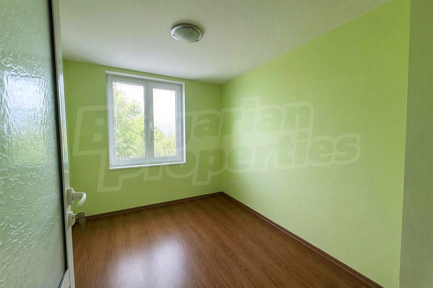 Gallery Picture 11