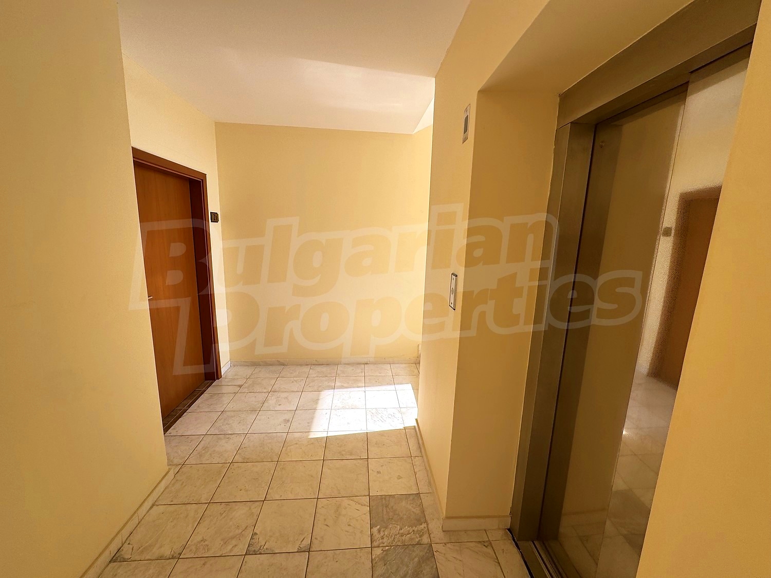 Gallery Picture 37