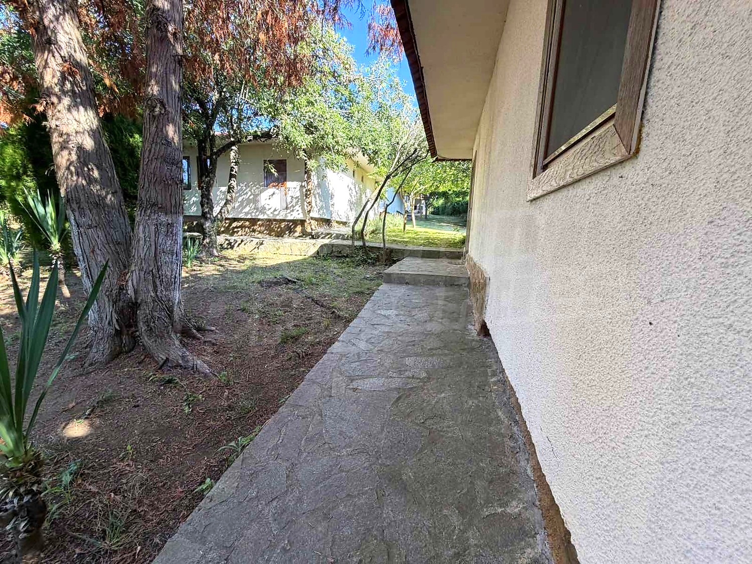 Gallery Picture 35
