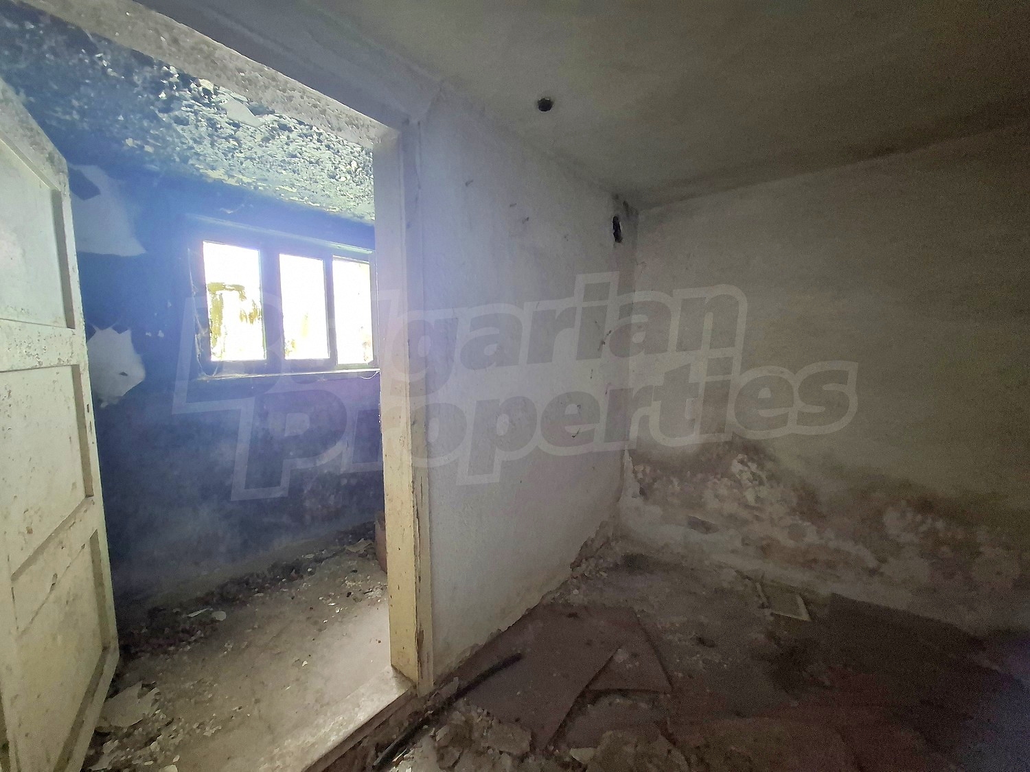 Gallery Picture 11