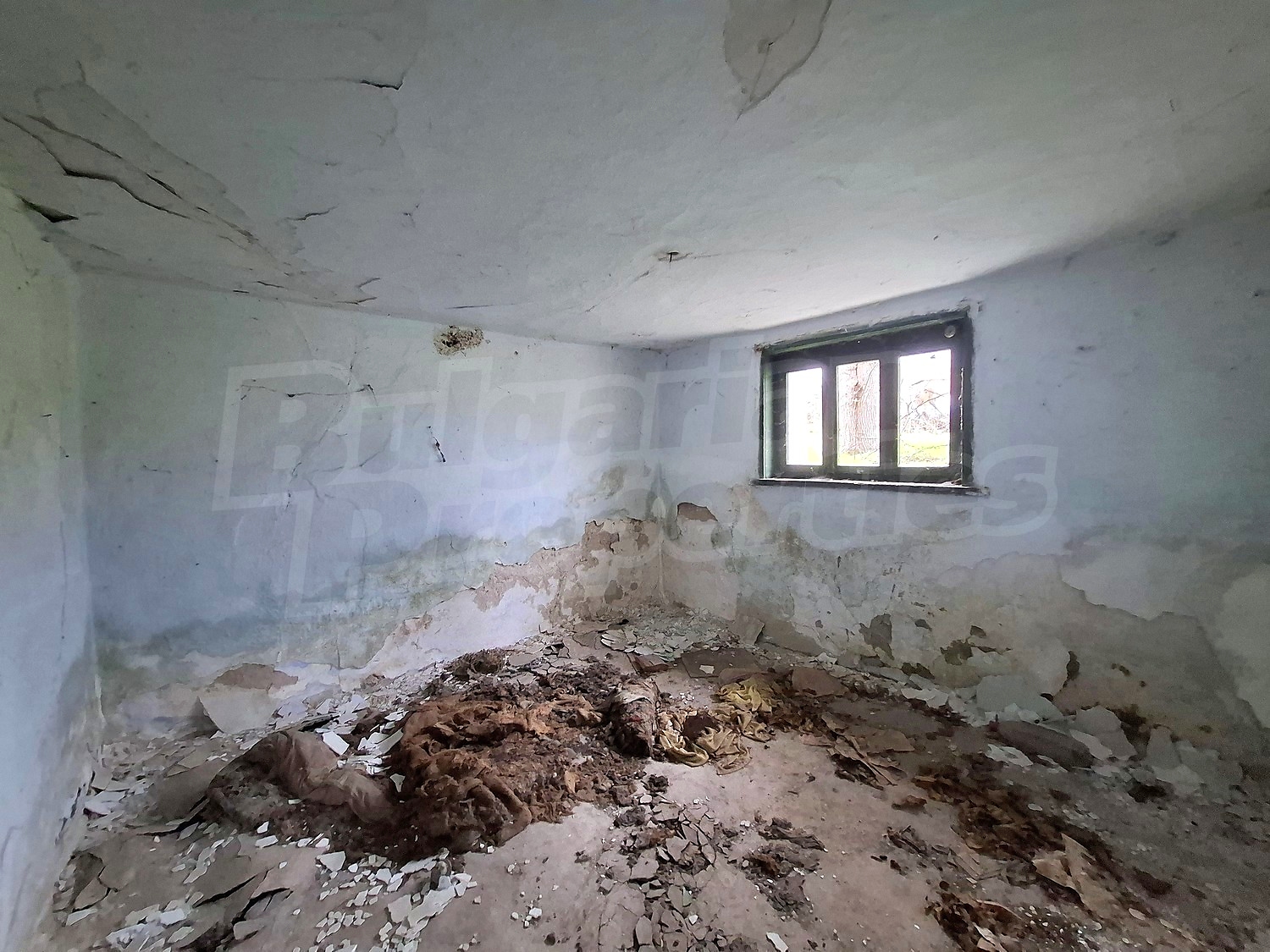 Gallery Picture 13