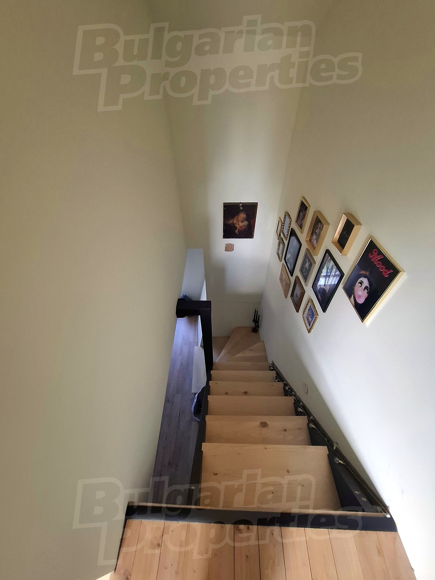 Gallery Picture 18