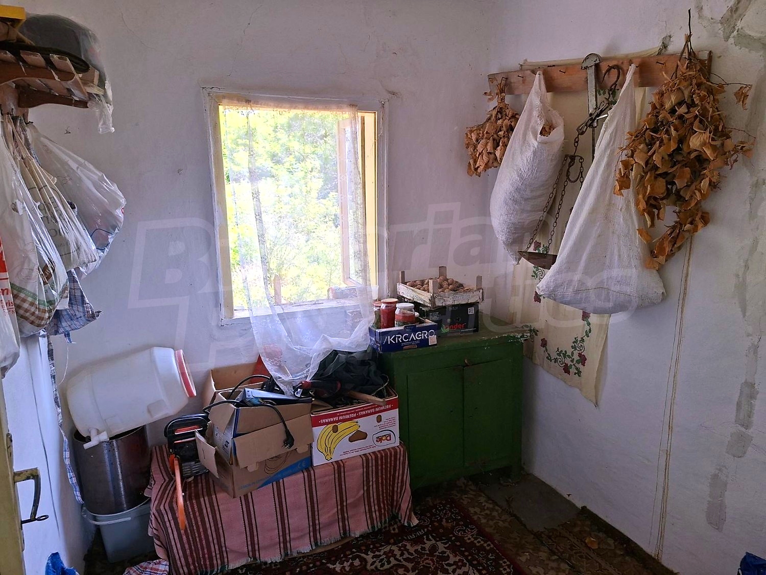 Gallery Picture 13