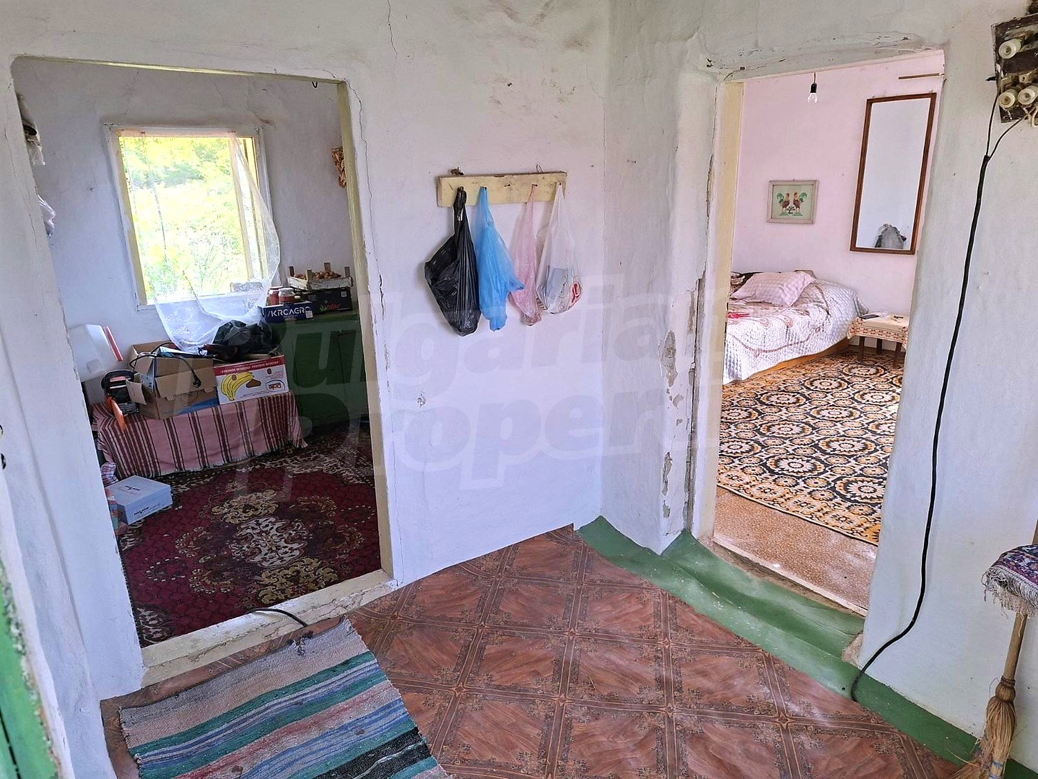 Gallery Picture 14