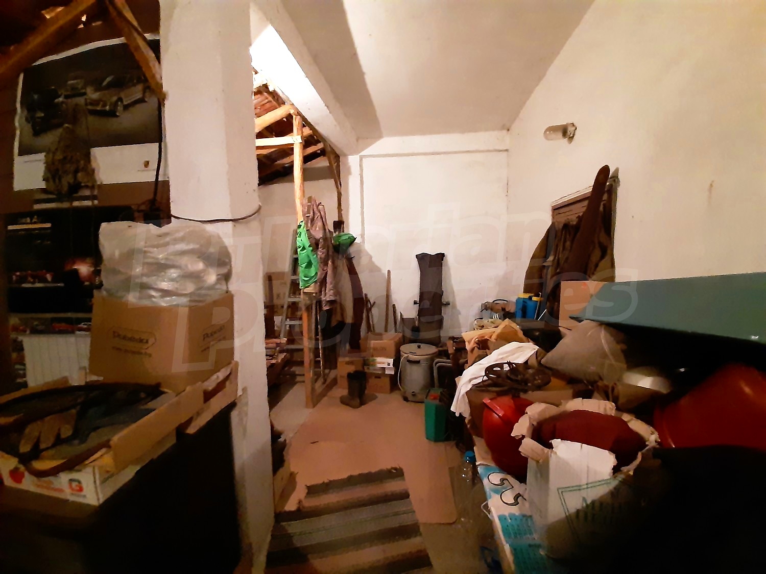 Gallery Picture 14