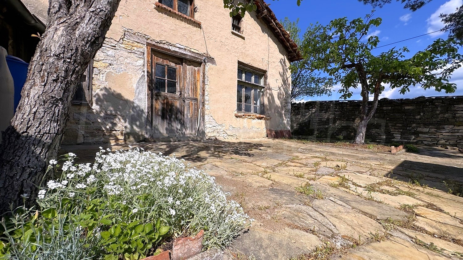 Gallery Picture 42