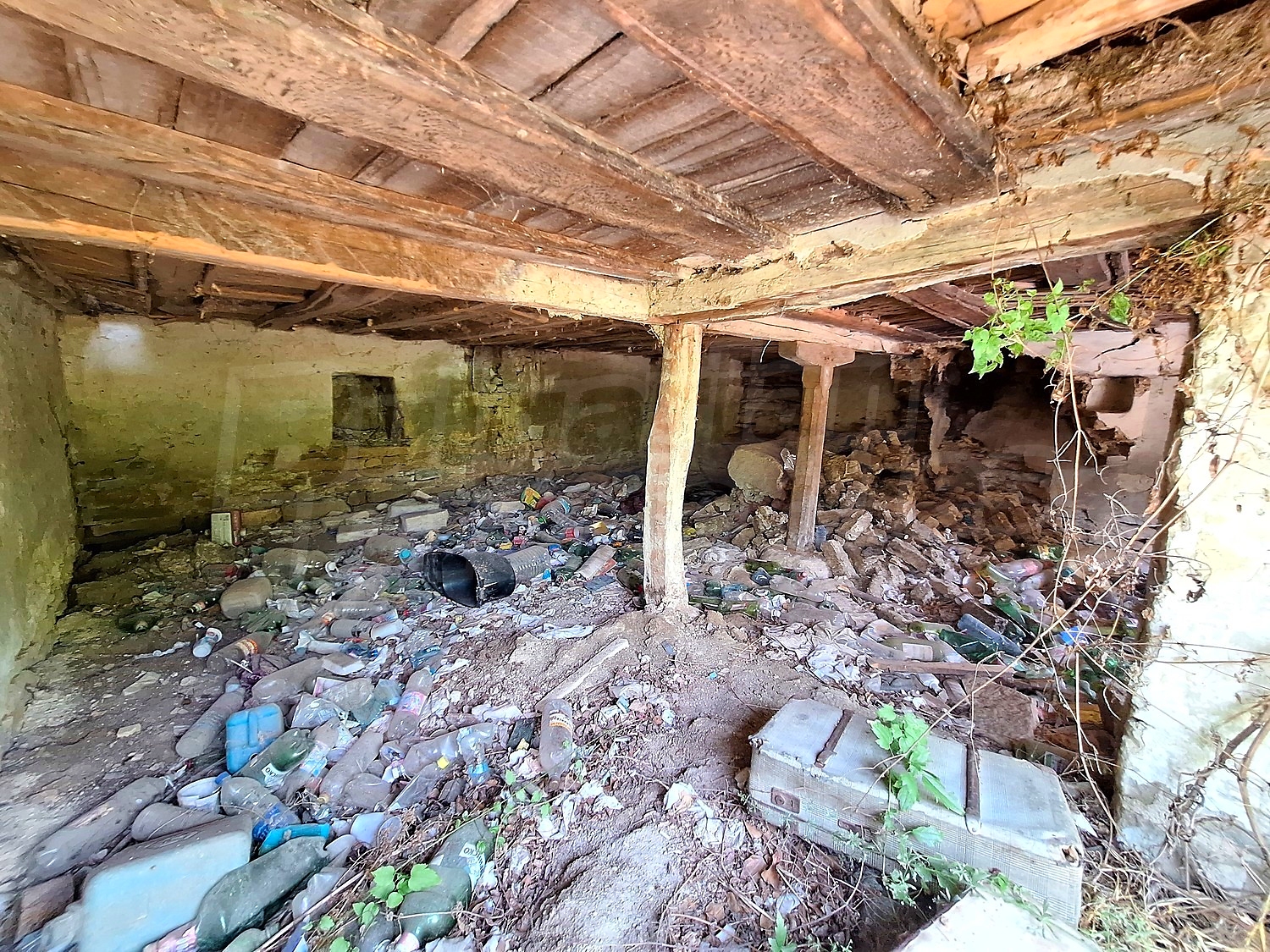 Gallery Picture 12