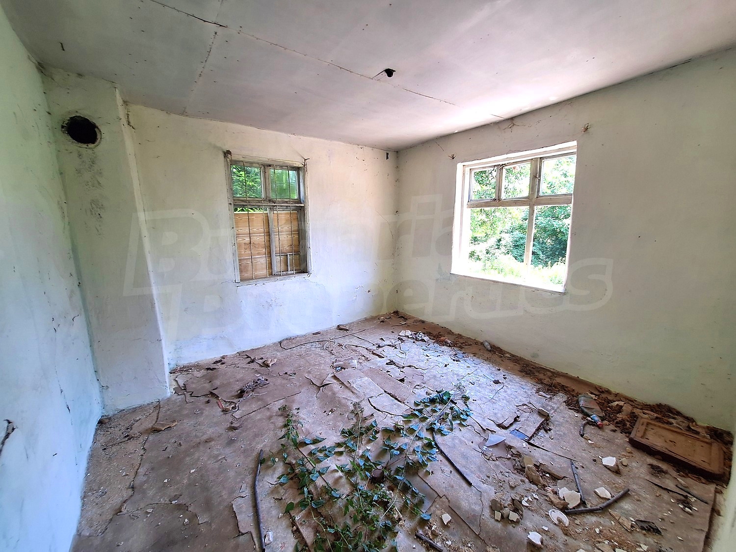 Gallery Picture 4