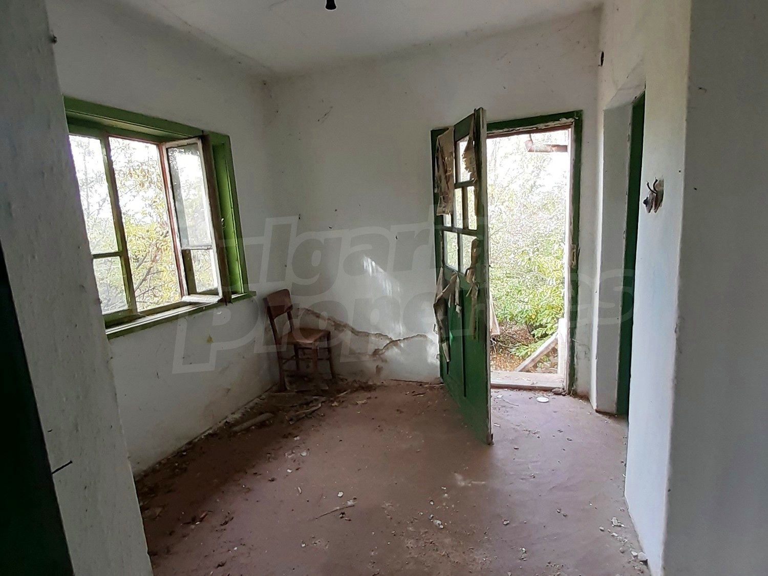 Gallery Picture 5