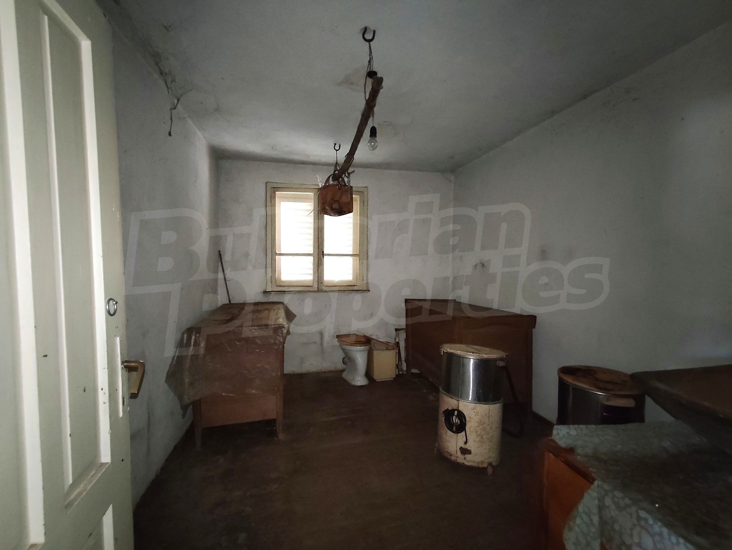 Gallery Picture 35