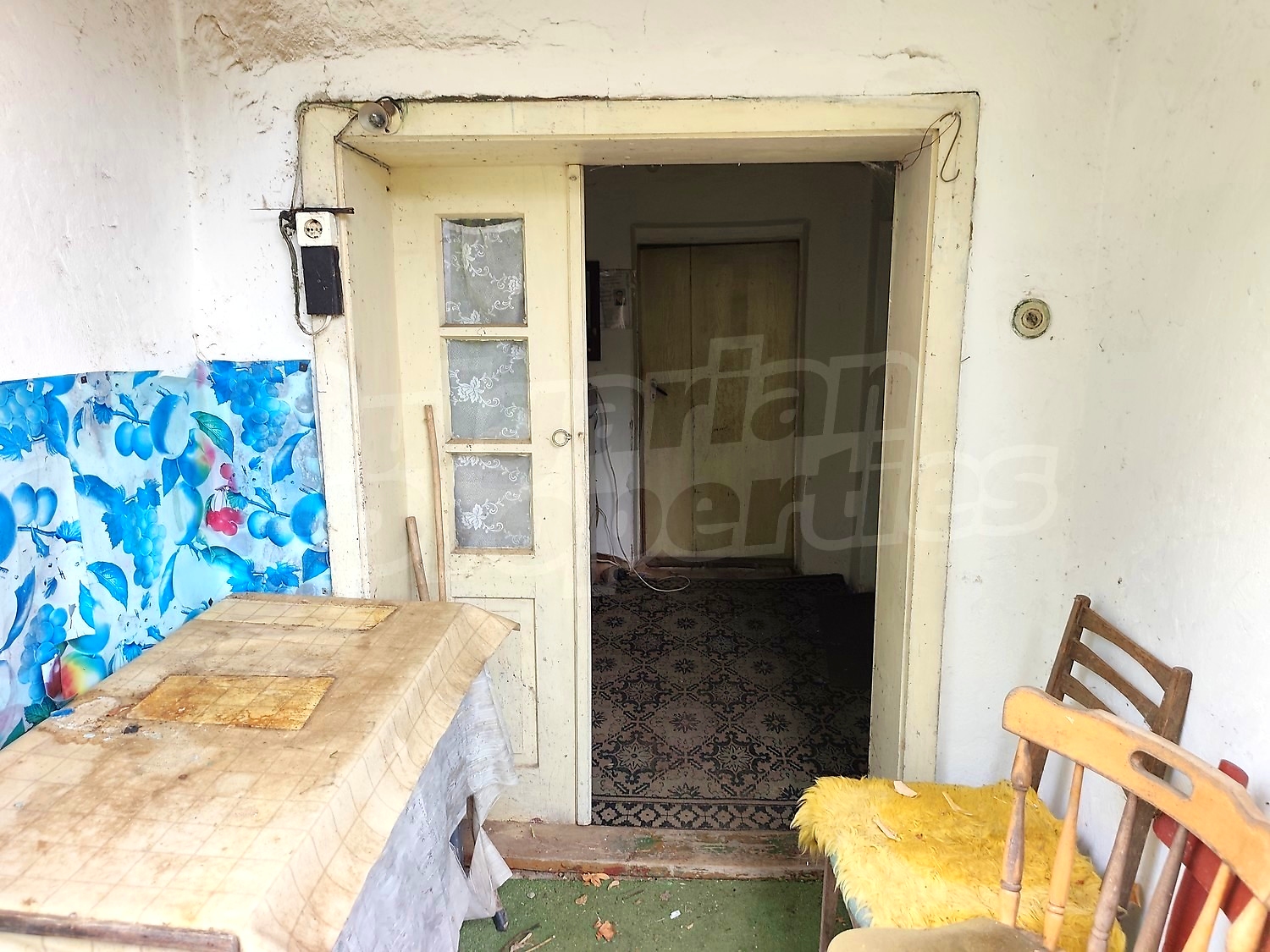 Gallery Picture 19