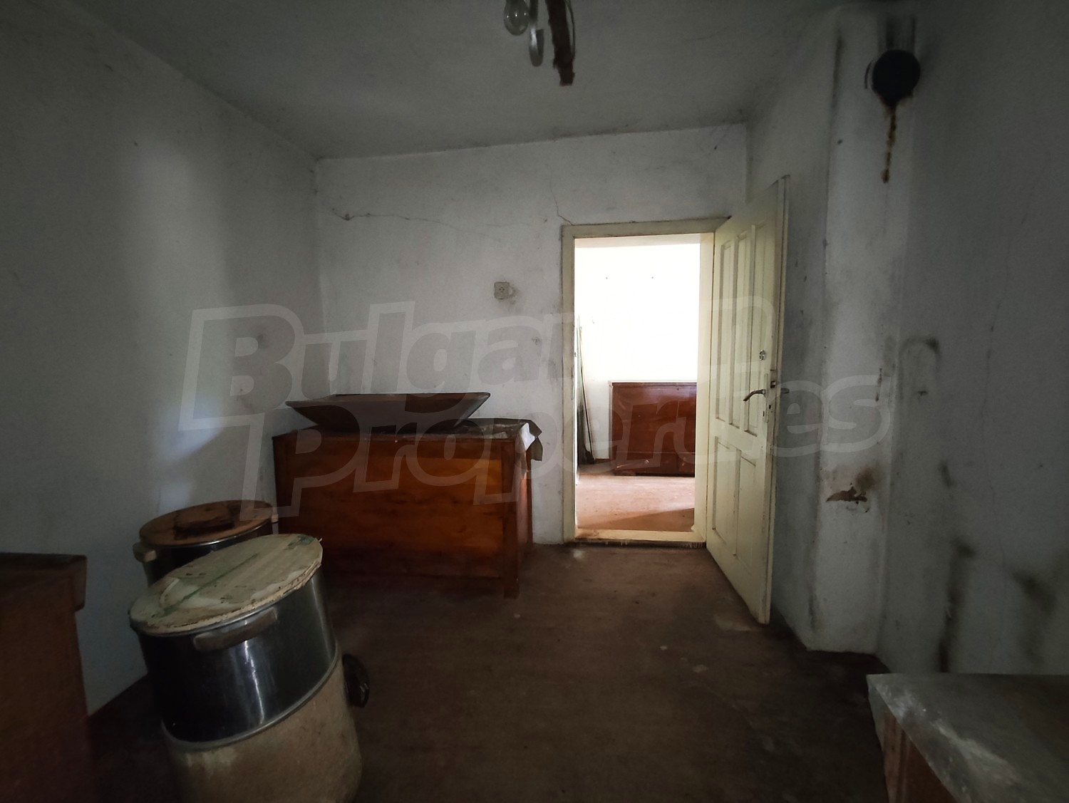 Gallery Picture 36