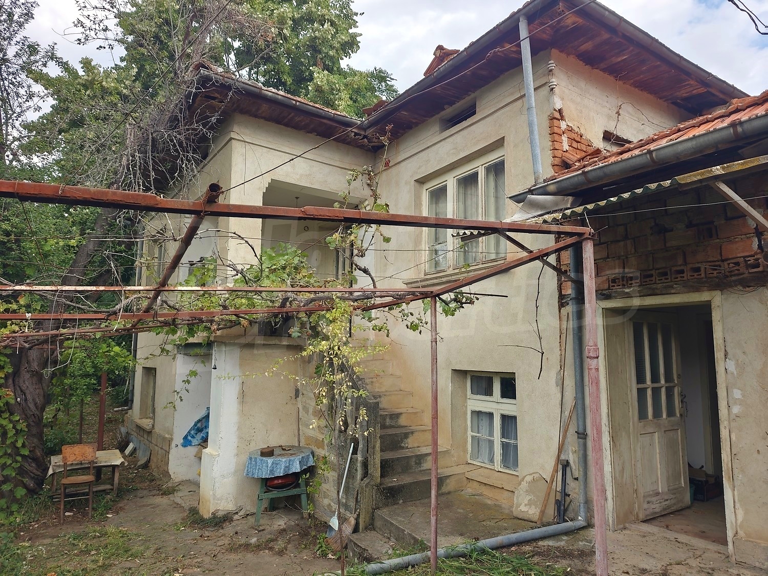 Gallery Picture 14