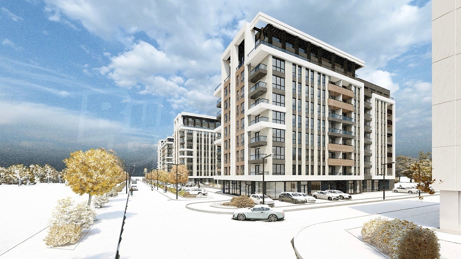 Gallery Picture 5