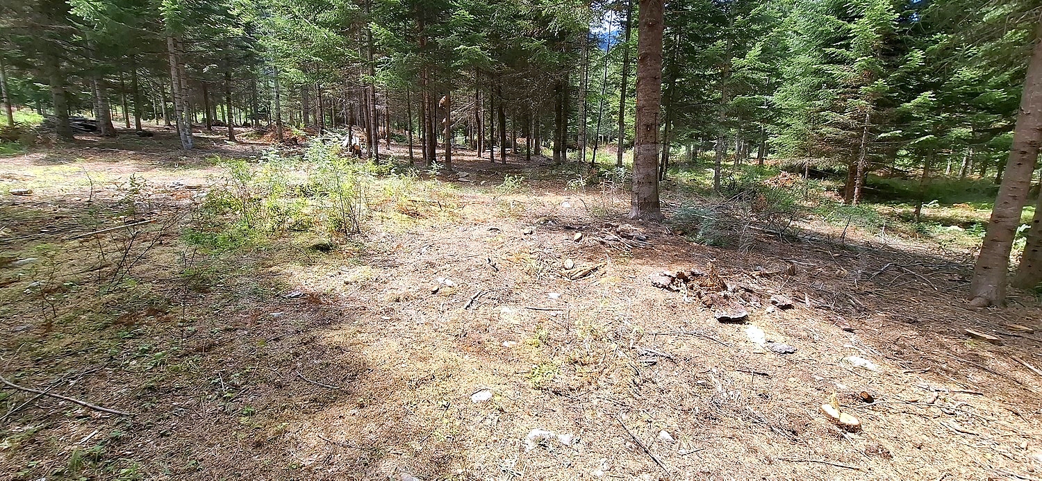Gallery Picture 5