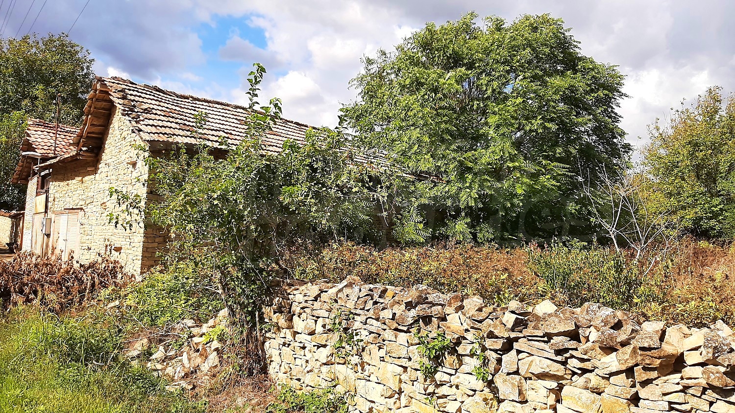 Gallery Picture 2