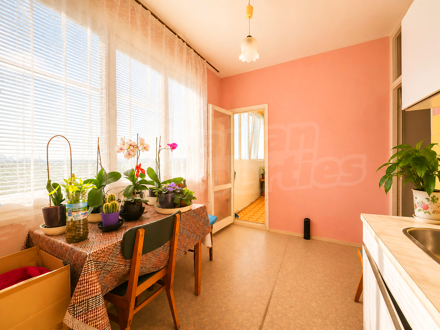 Gallery Picture 4