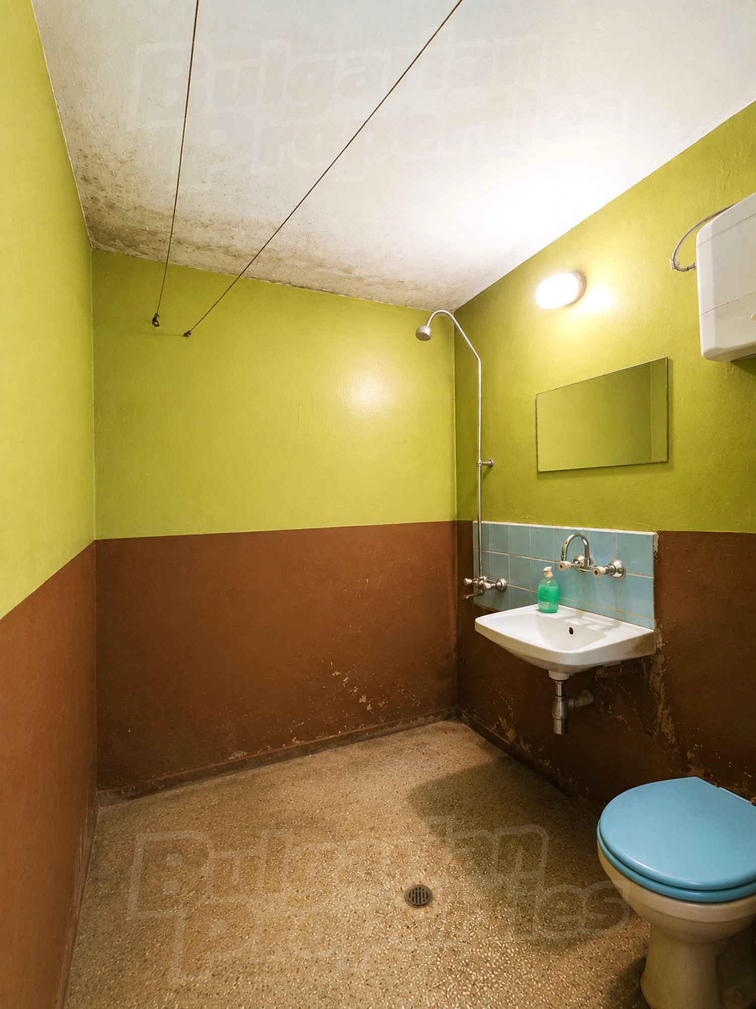Gallery Picture 8