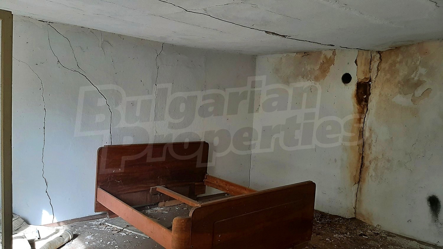 Gallery Picture 11