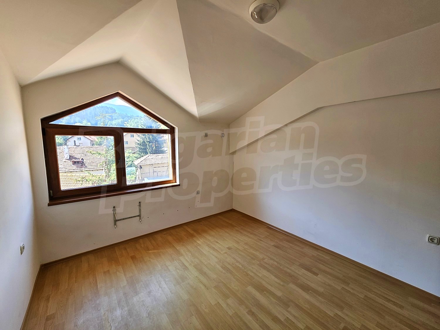 Gallery Picture 12