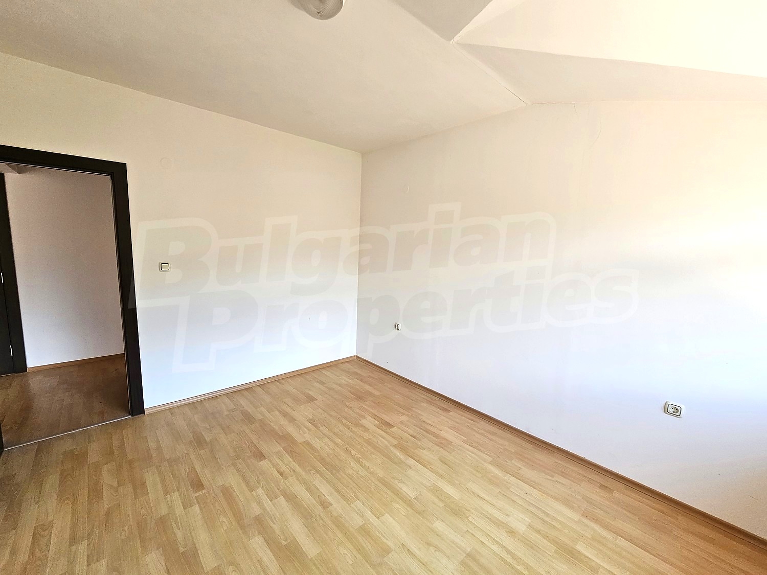 Gallery Picture 14