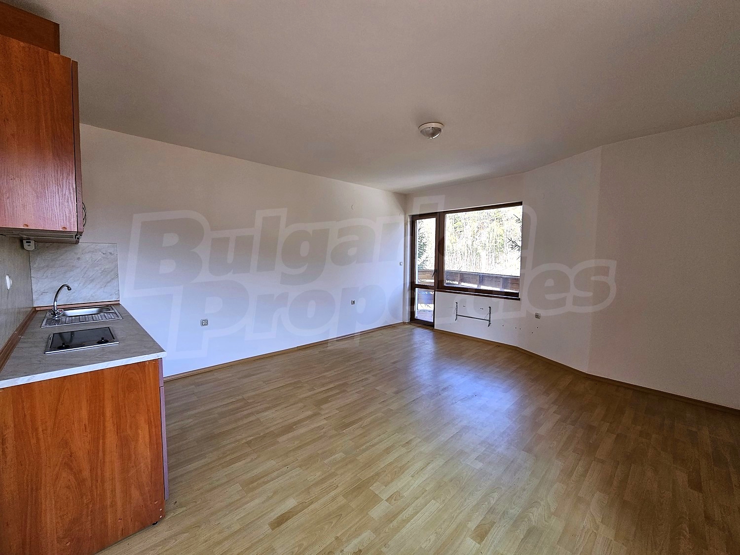 Gallery Picture 5