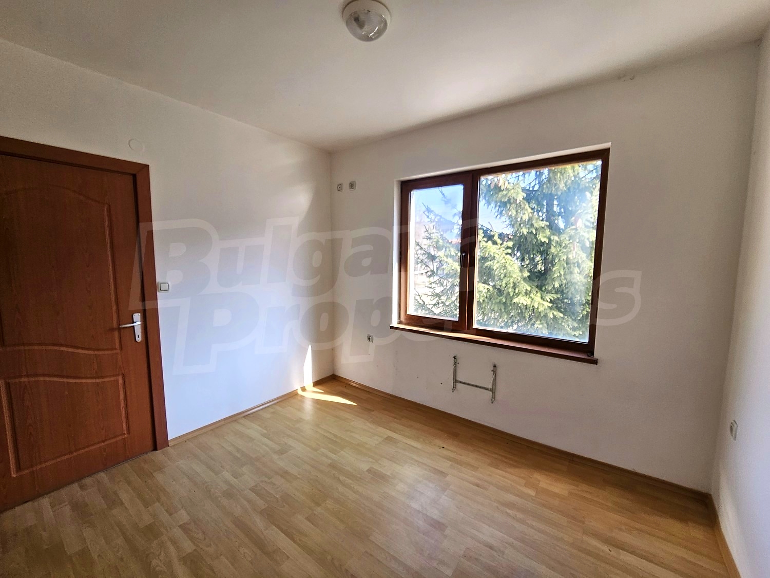 Gallery Picture 14