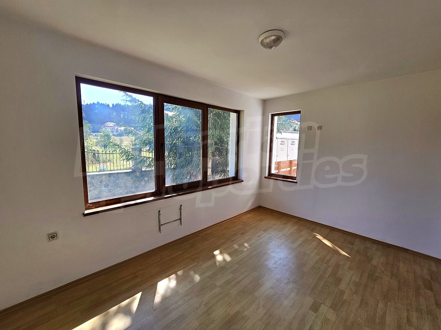Gallery Picture 10