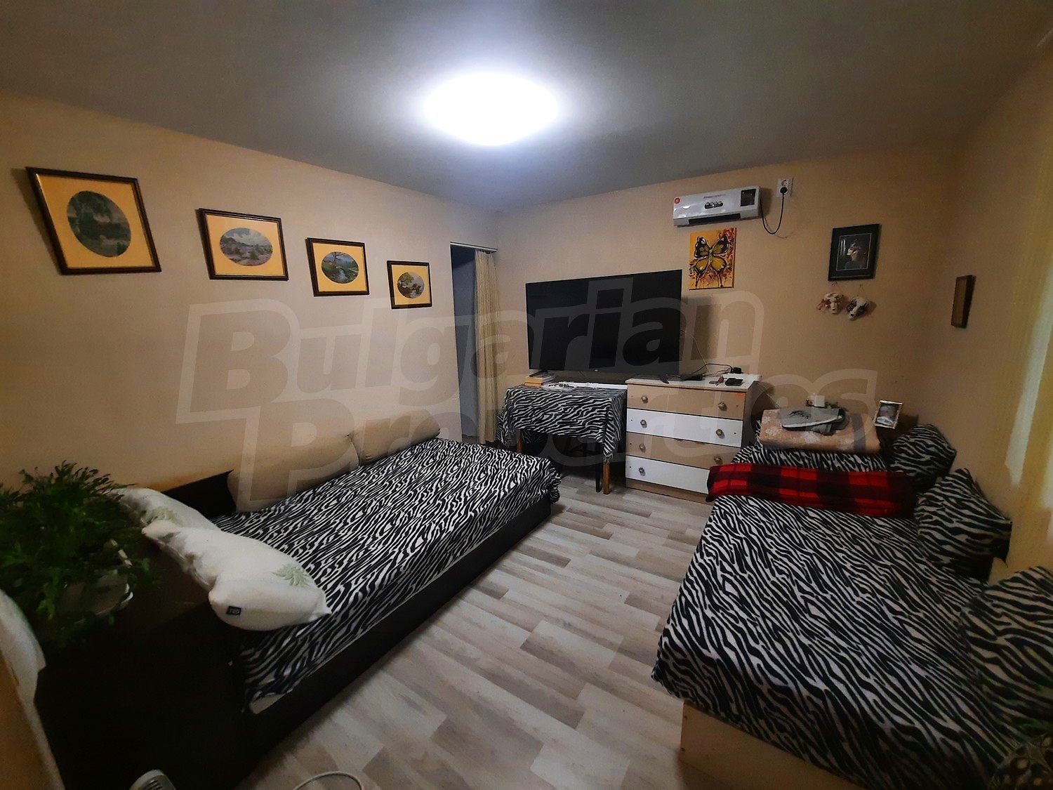 Gallery Picture 13