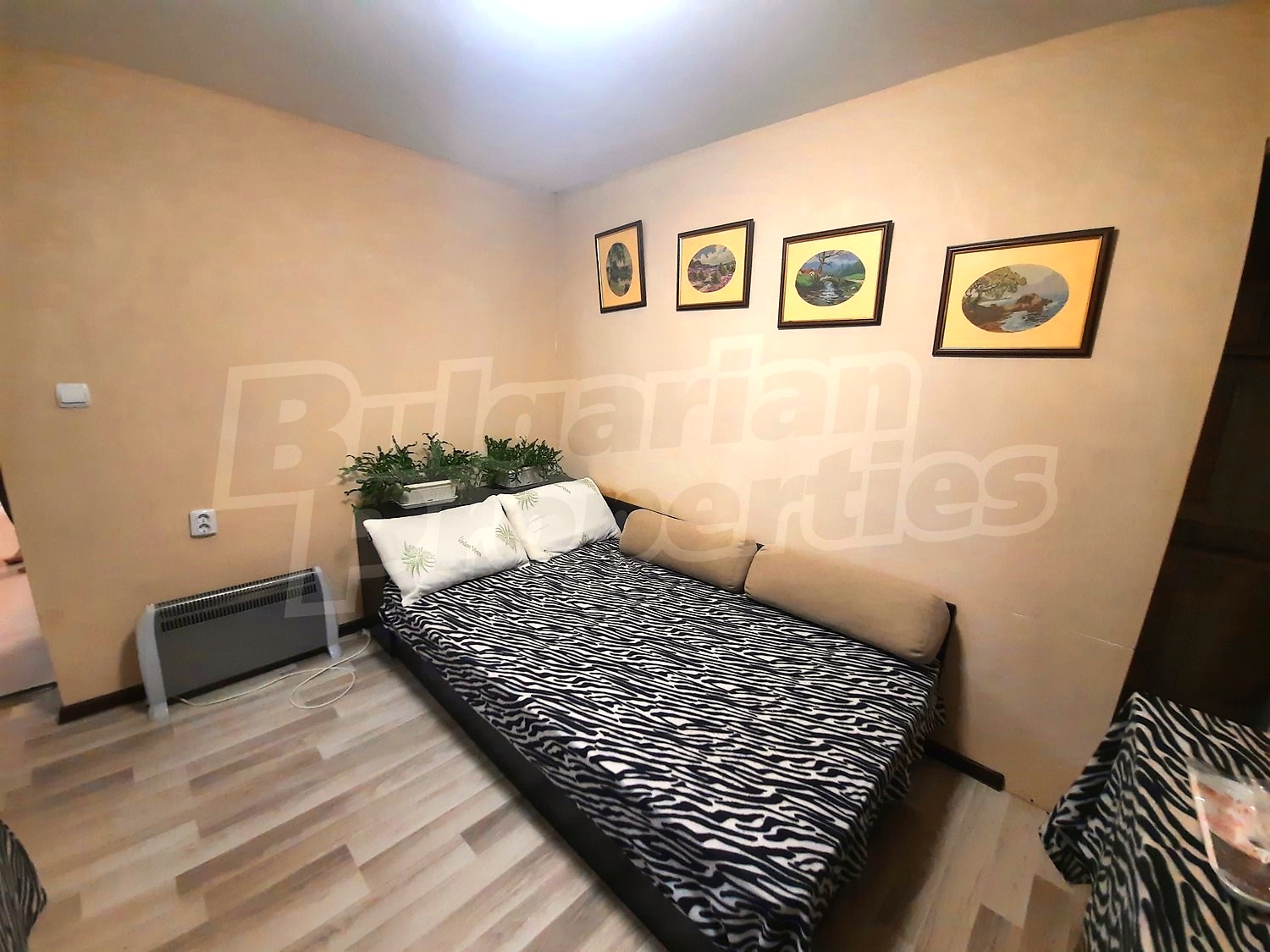 Gallery Picture 12