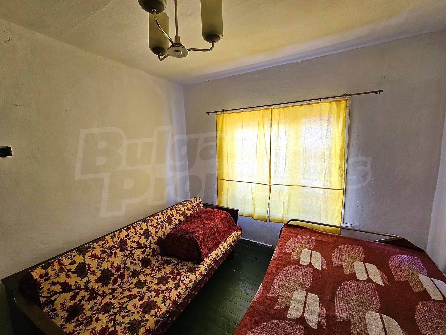 Gallery Picture 13