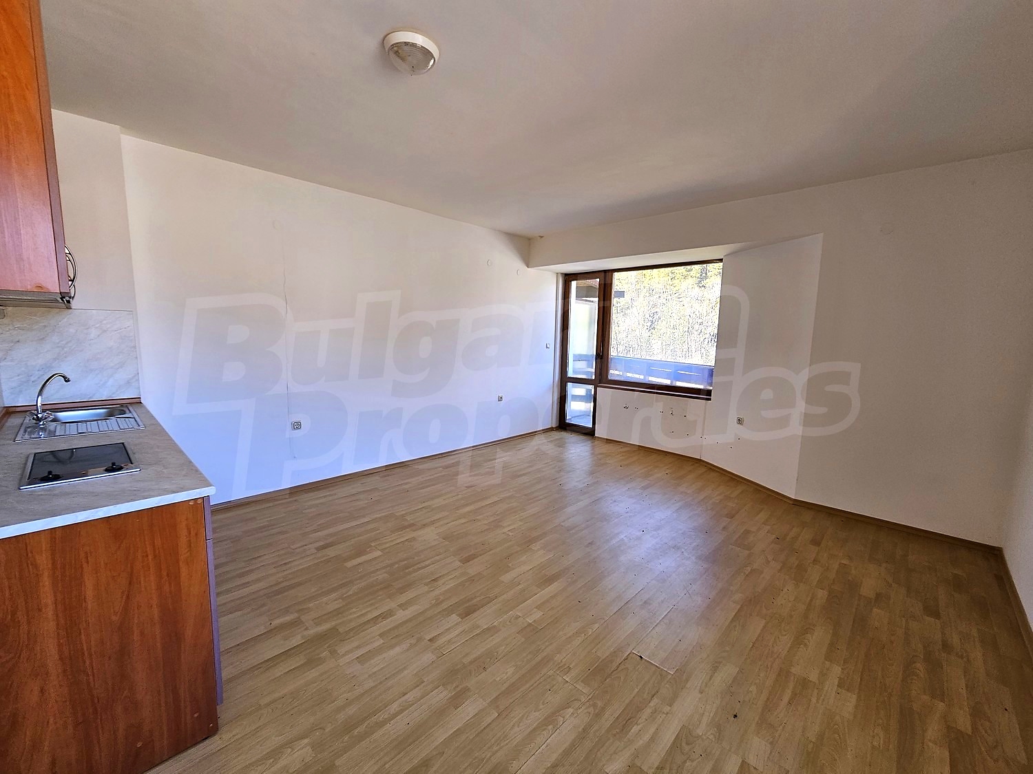 Gallery Picture 5