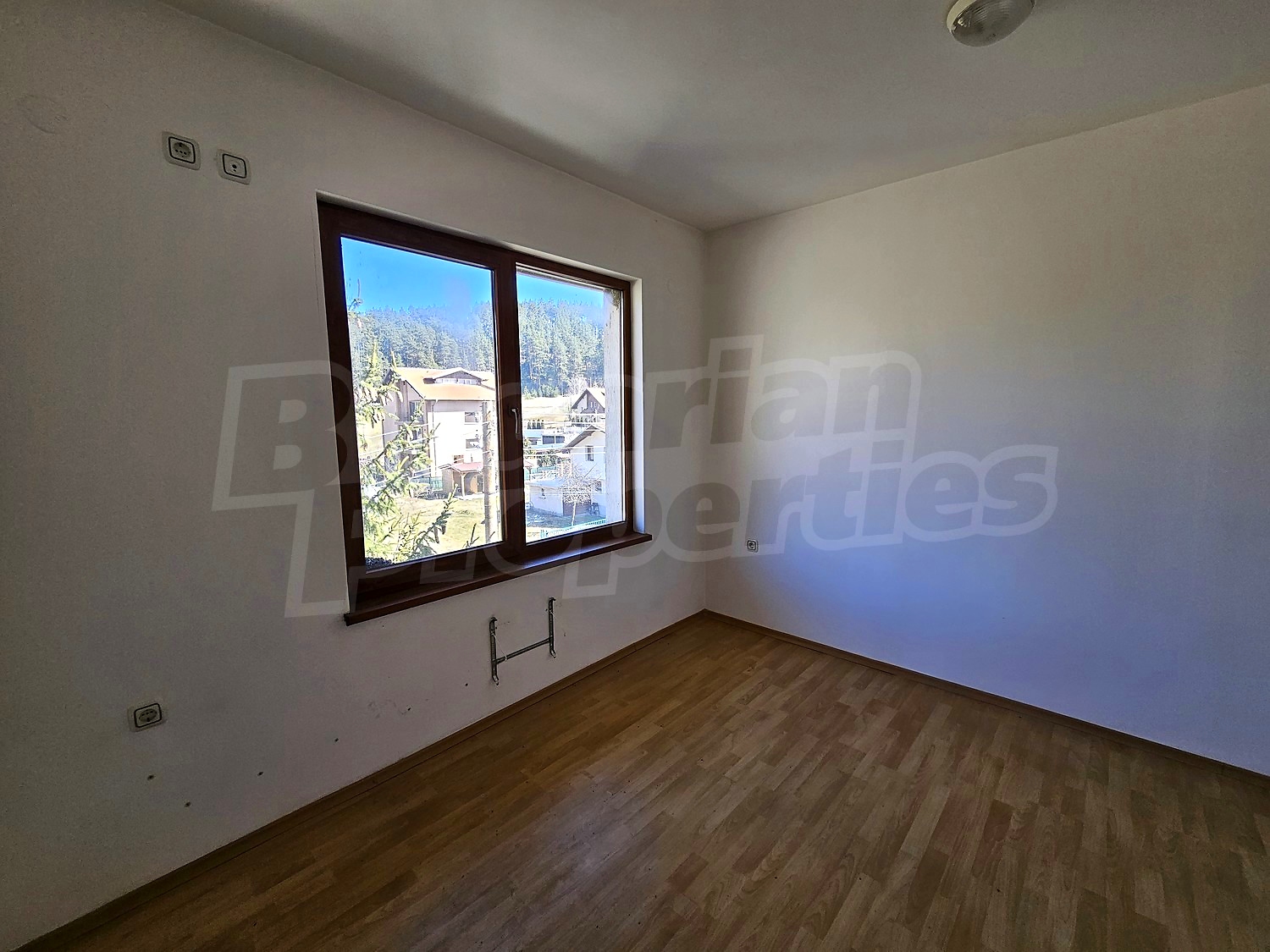 Gallery Picture 11