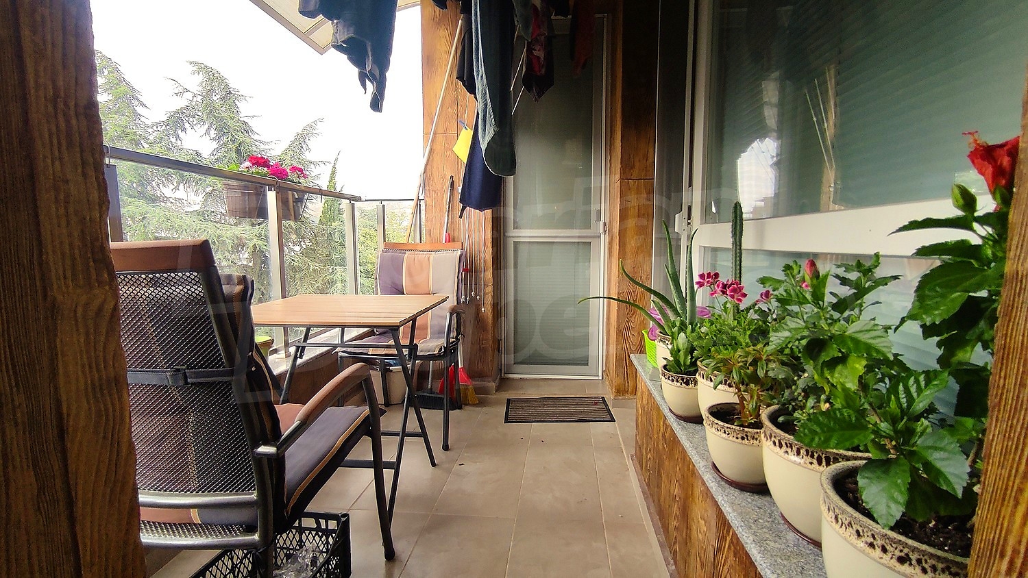Gallery Picture 5
