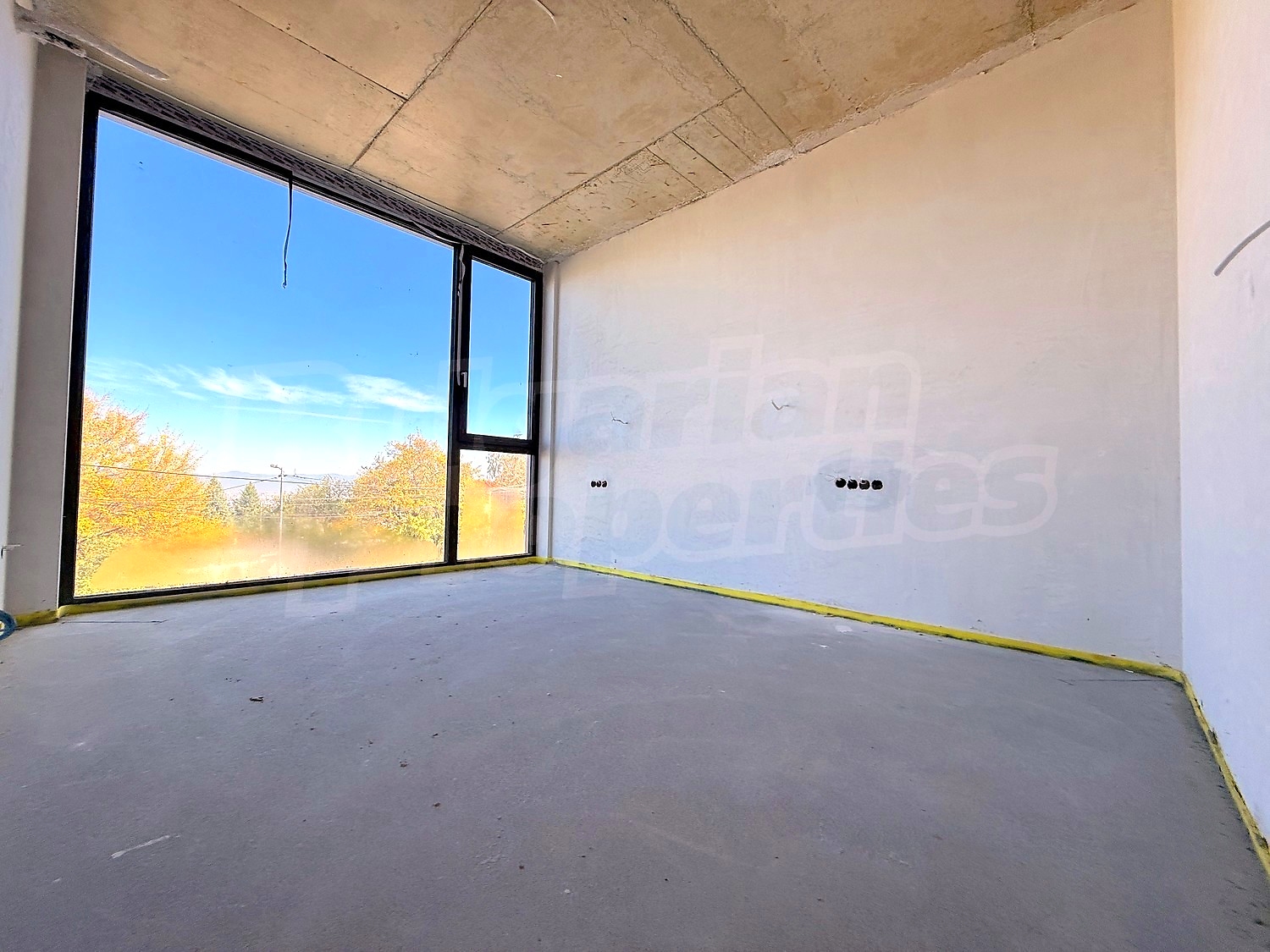 Gallery Picture 56