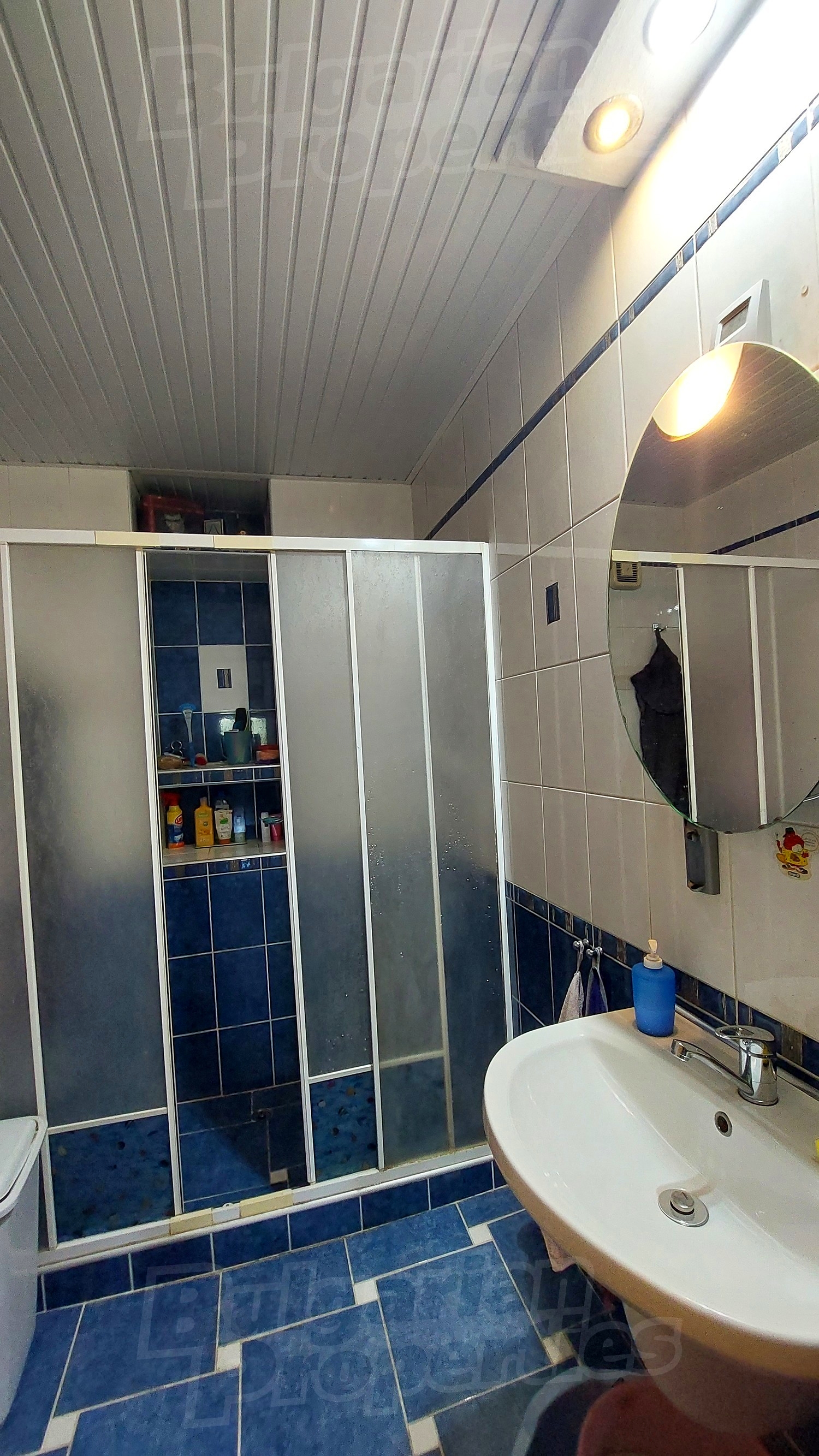Gallery Picture 14