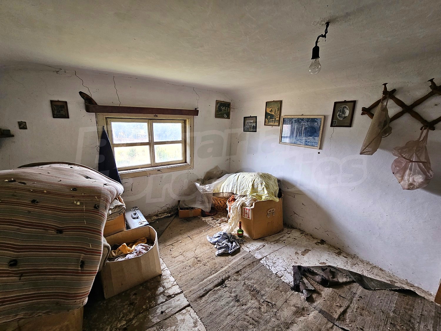 Gallery Picture 34