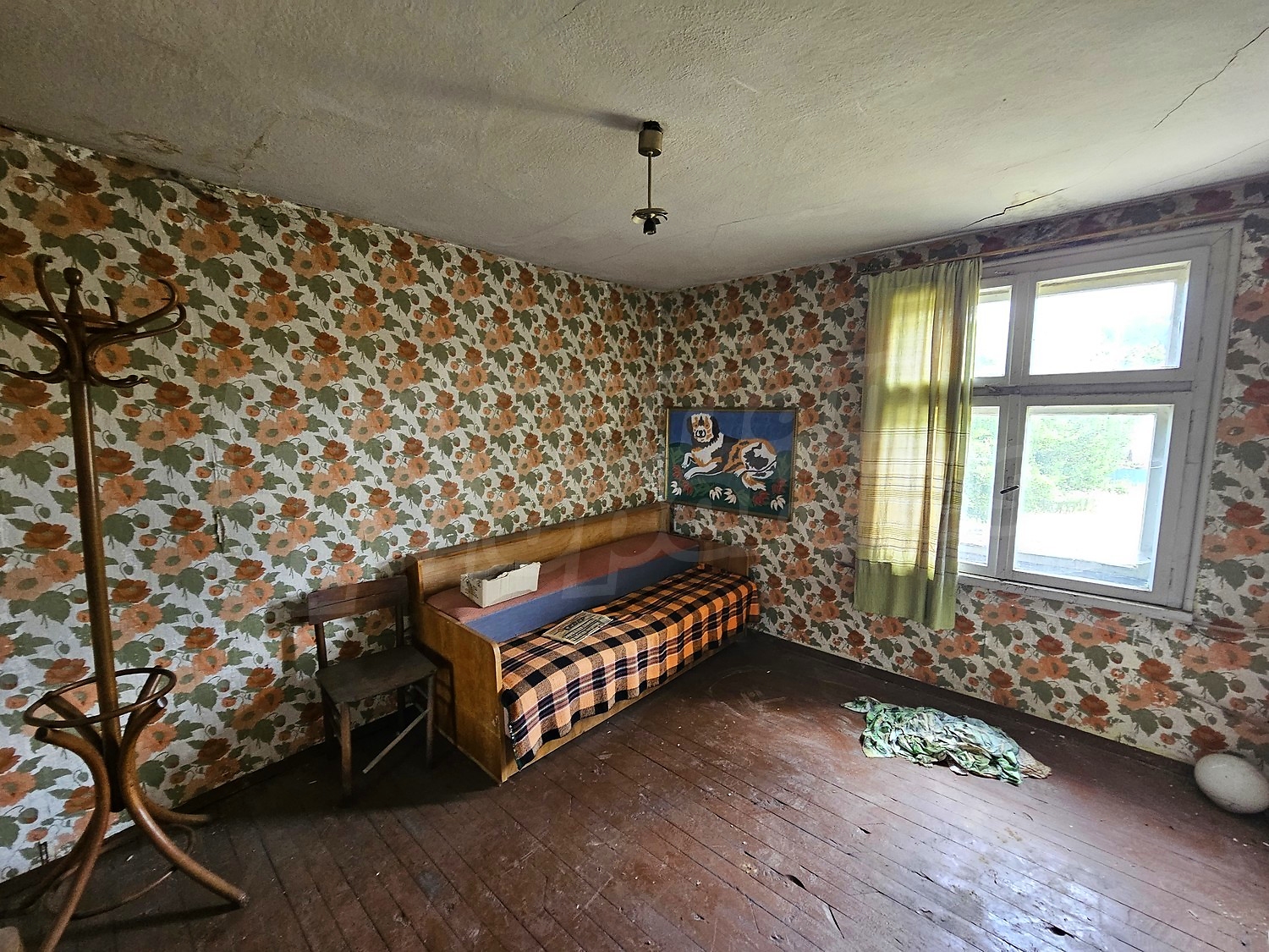 Gallery Picture 12