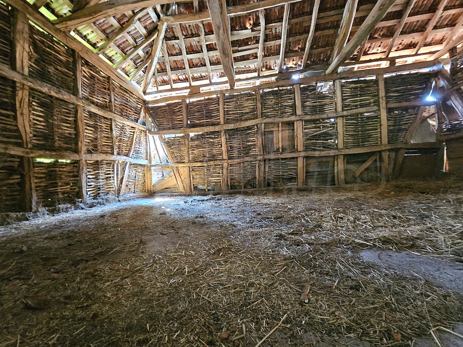 Gallery Picture 43