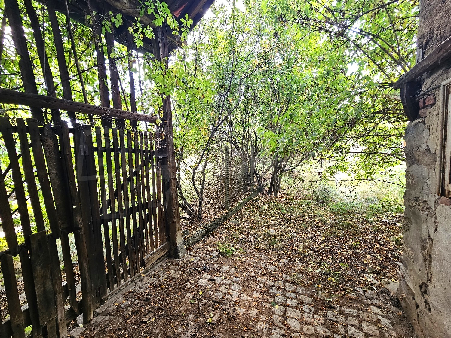 Gallery Picture 41