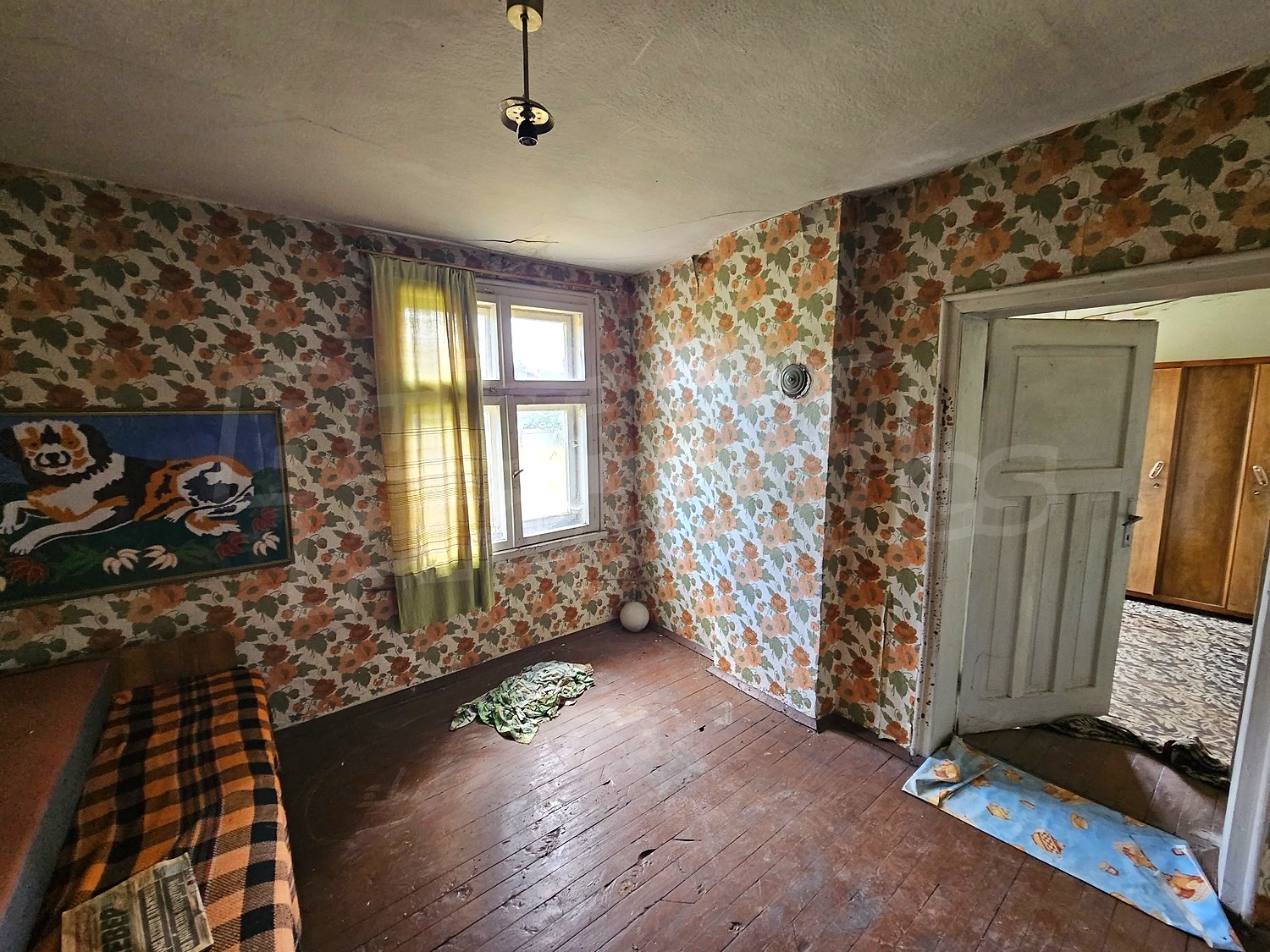 Gallery Picture 13