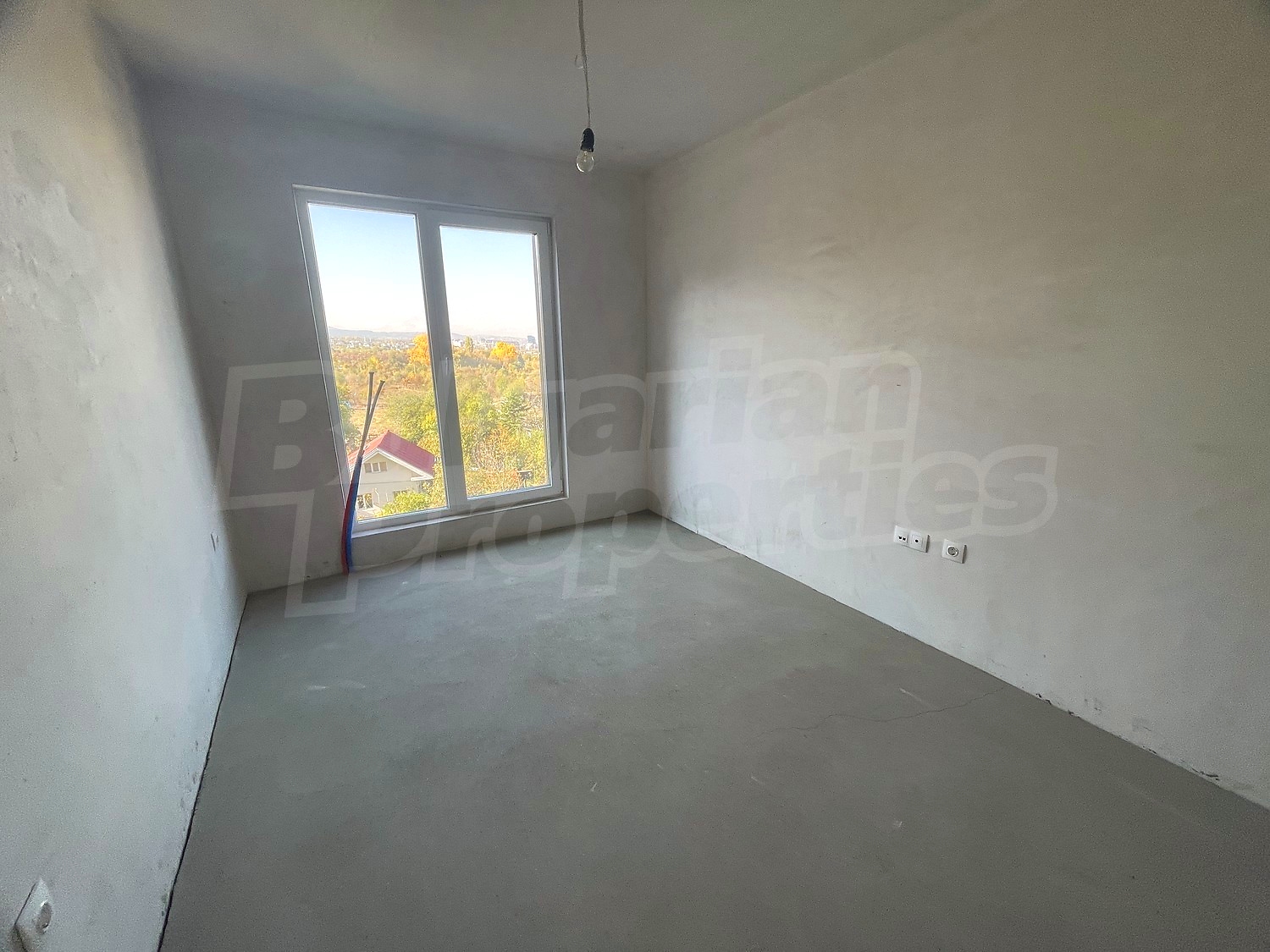 Gallery Picture 17