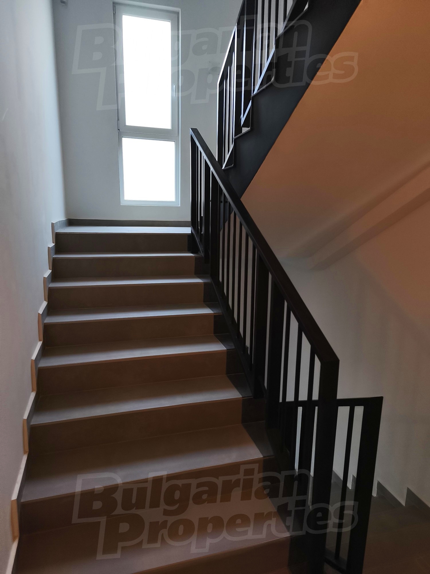 Gallery Picture 33