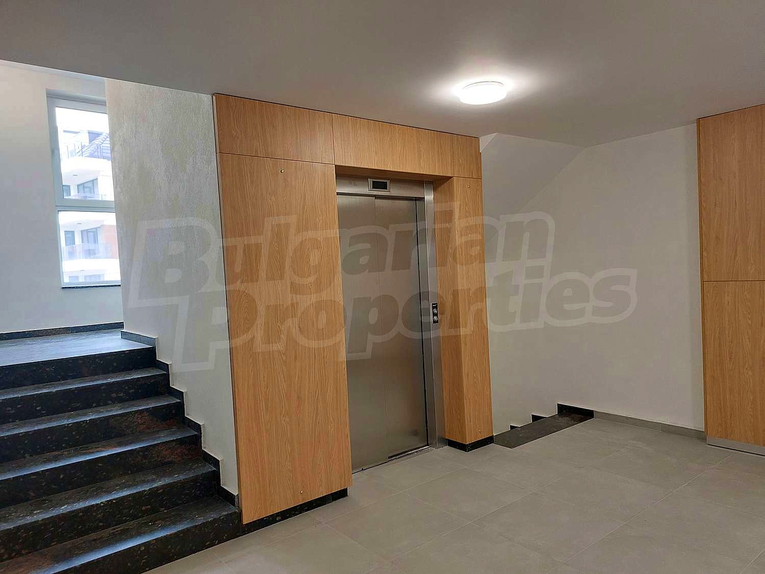 Gallery Picture 46