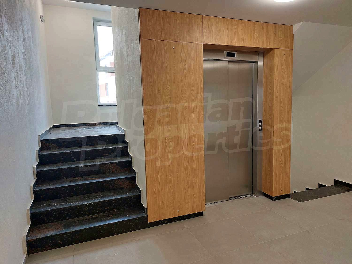 Gallery Picture 11